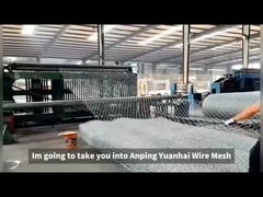 پی وی سی / گرم غوطه ور گالوانیزه سیم آهن گابیون سیم میش برای حفاظت از شیب