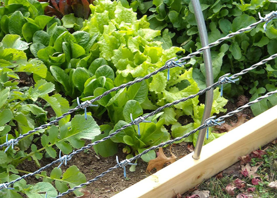 سیم خاردار فولادی گالوانیزه گرم 12 گیج برای حصارکشی امنیتی